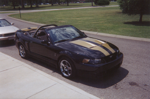 Image For 2003 Cobra